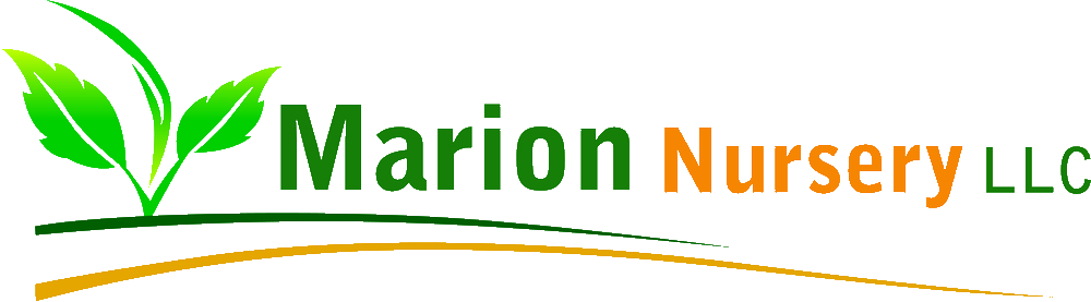 Marion Nursery Logo